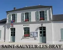 epaviste gratuit saint-sauveur-lès-bray