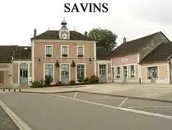 epaviste gratuit savins