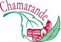 epaviste autours de chamarande