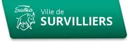epaviste autours de survilliers